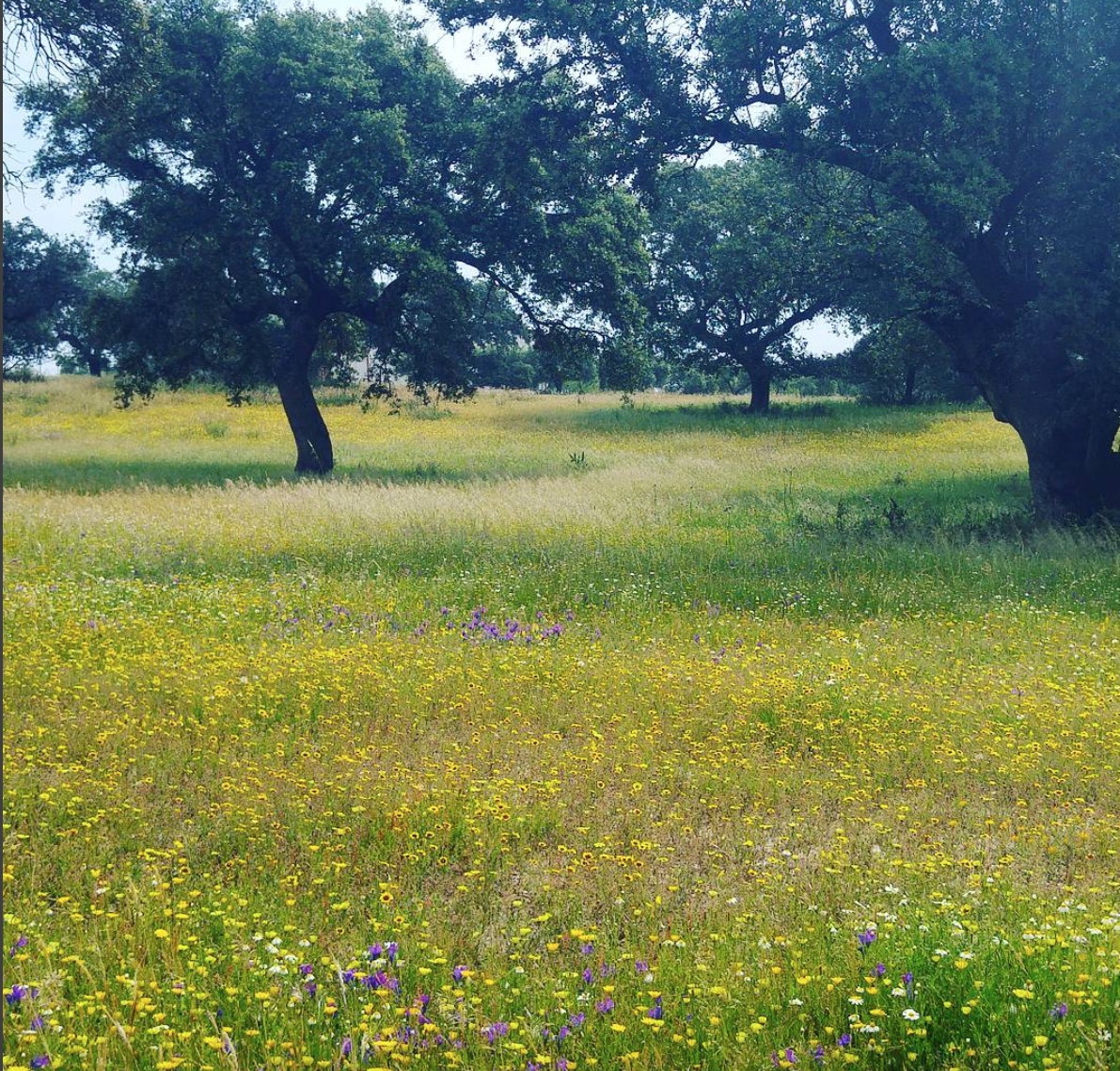 Screenshot 2016-06-10 02.03.55.jpg