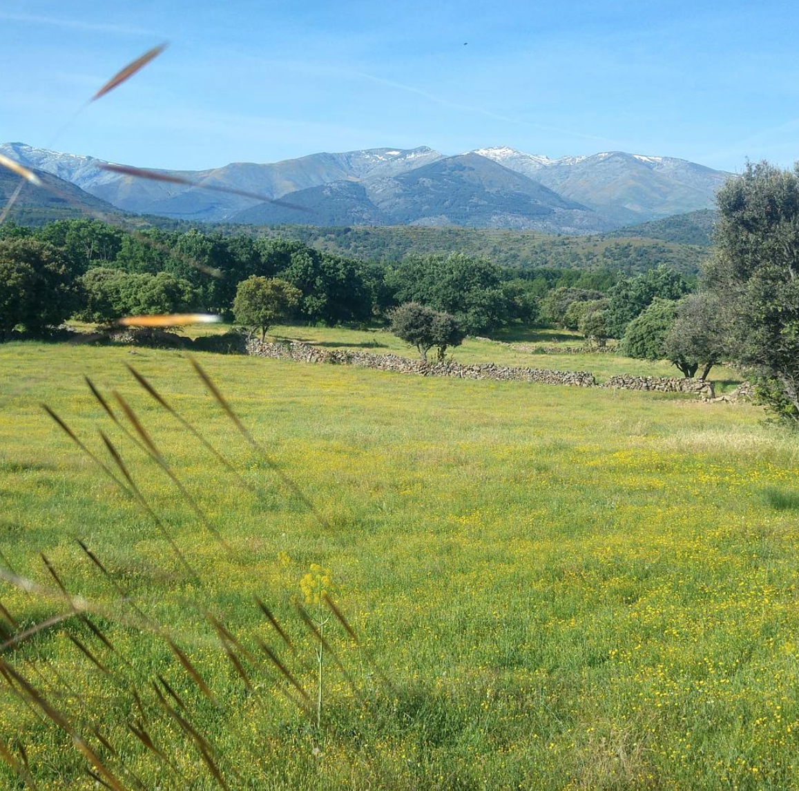 Screenshot 2016-06-10 02.05.33