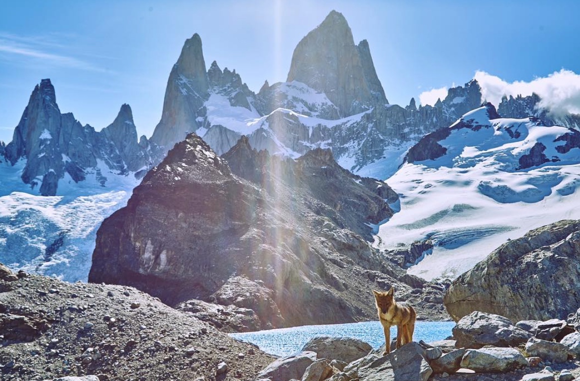 Screenshot 2016-06-14 21.26.36.jpg